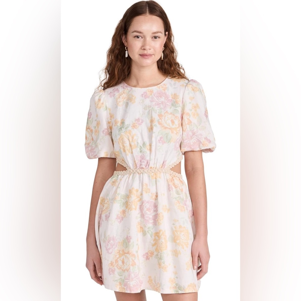 WAYF Women's Plaza Cut Out Mini Dress